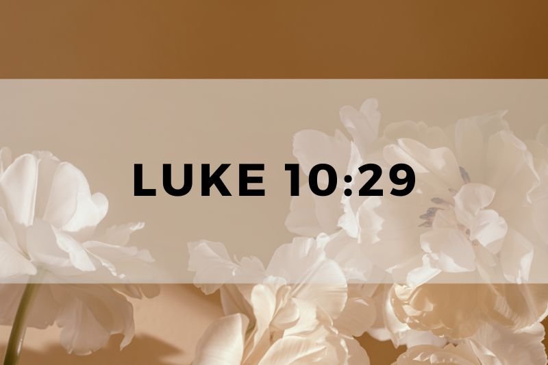 Luke 10:29